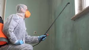 Best Mold Odor Removal Services  in Greencastle, IN